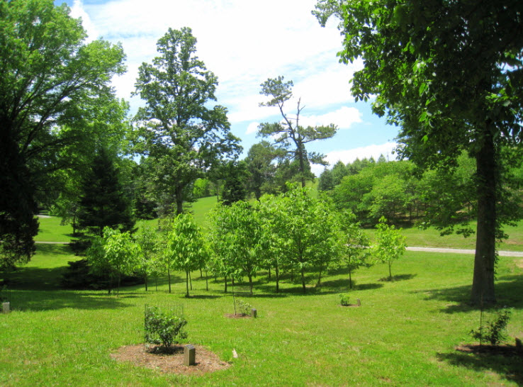University of Tennessee Arboretum, Oak Ridge, United States